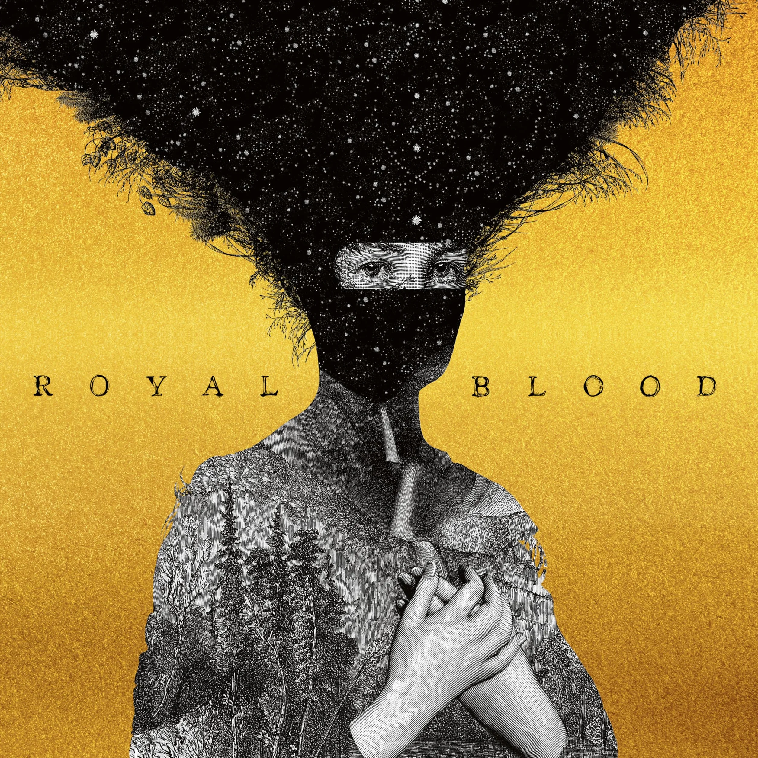 Royal Blood Dorado)