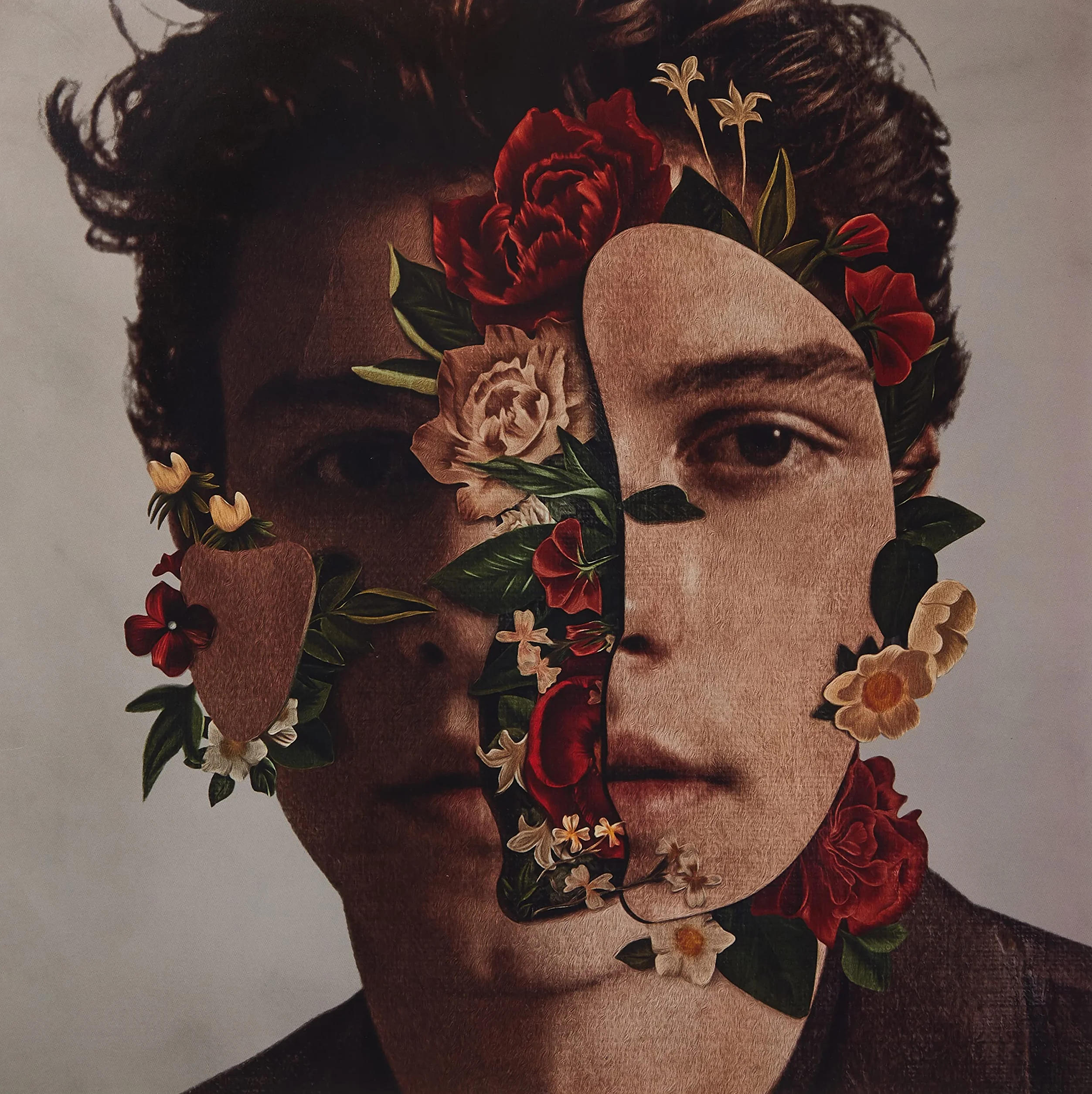 Shawn Mendes
