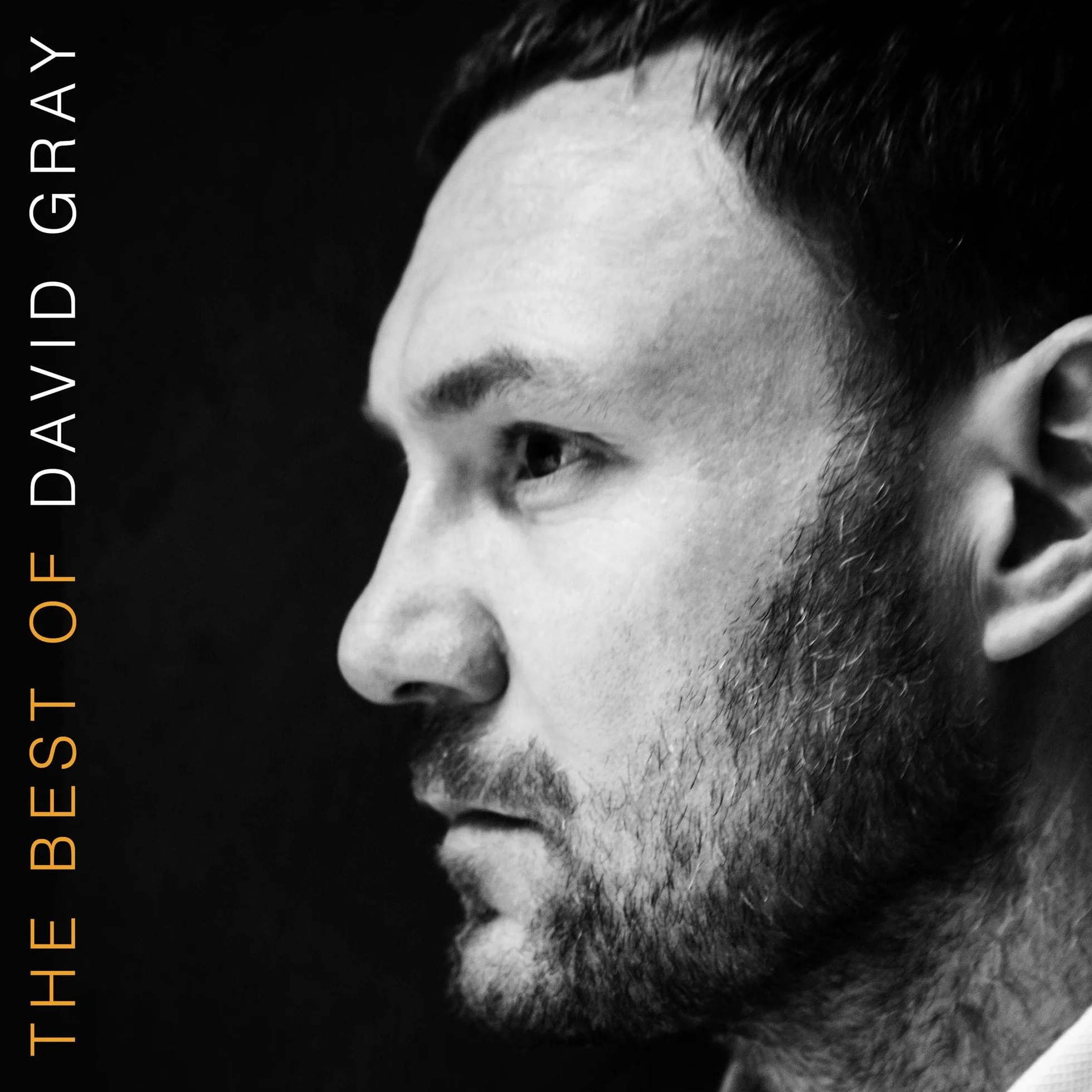 The Best Of David Gray