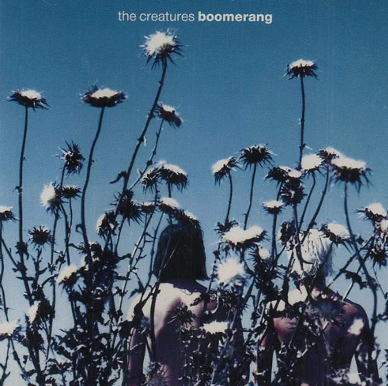 Boomerang