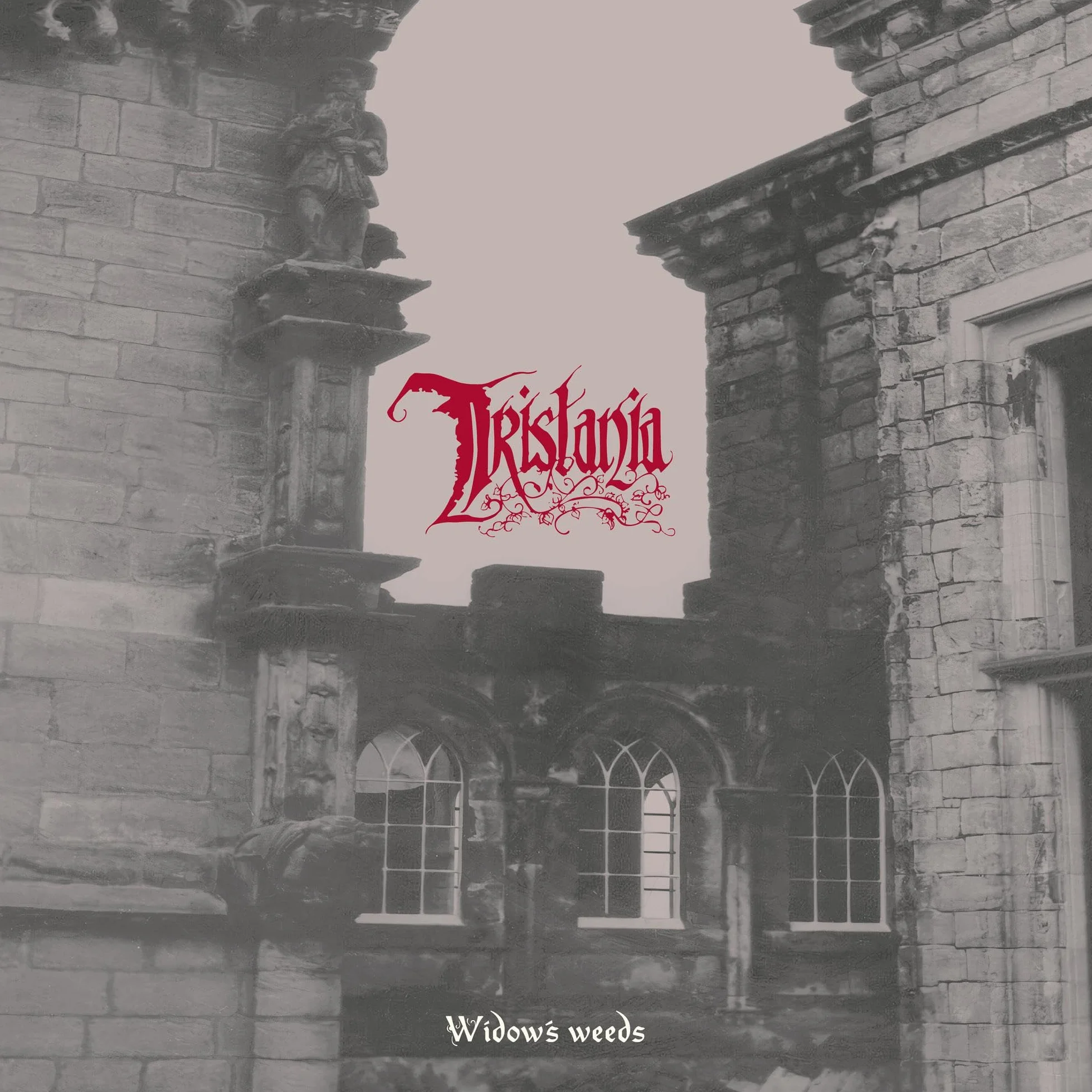 Widowҳ weeds & tristania
