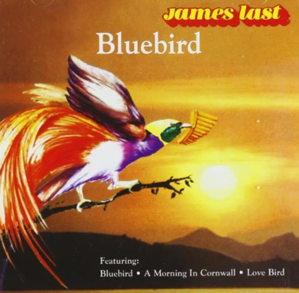 Bluebird