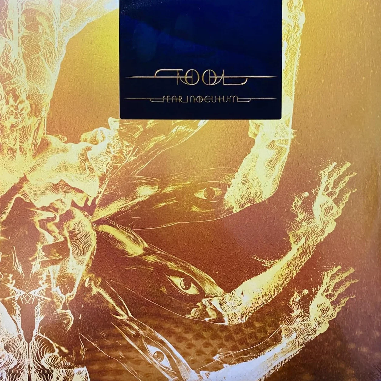 Fear Inoculum 2021 New Number 3 Disc Life Of Wide Black