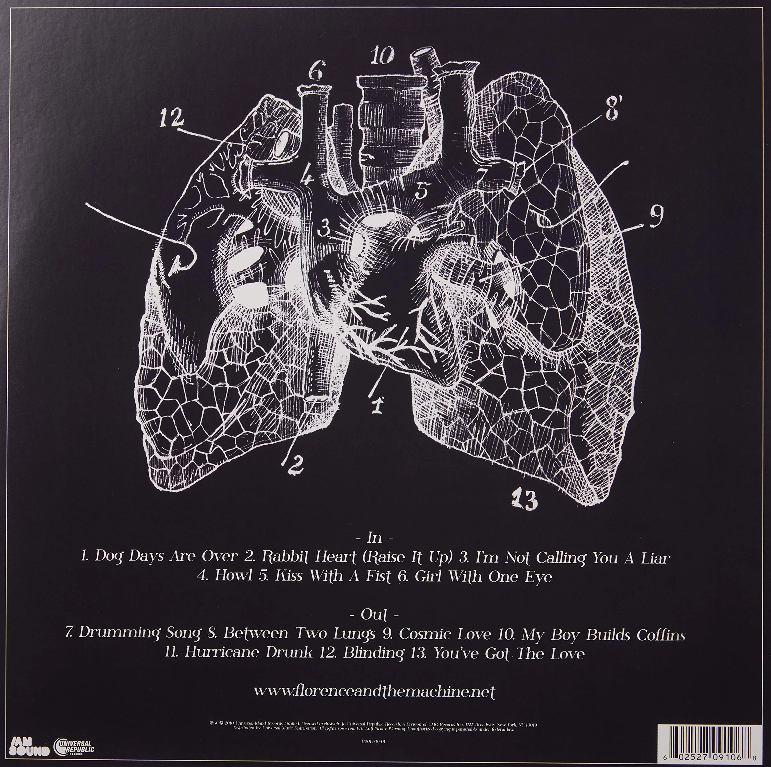 Lungs