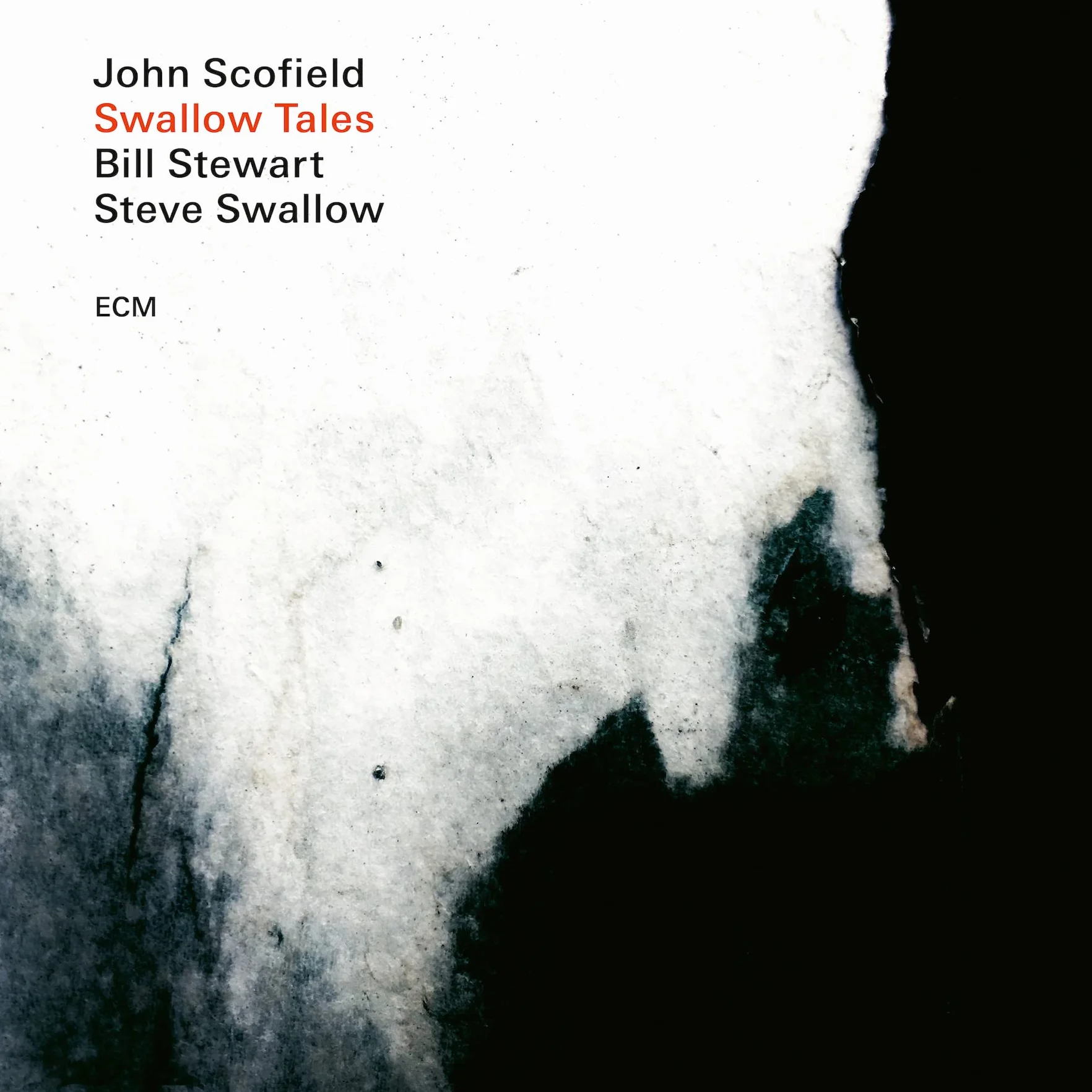Swallow Tales