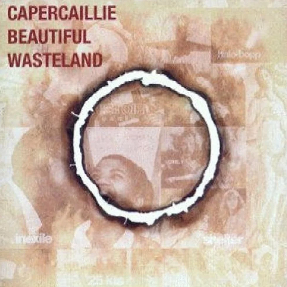 Beautiful Wasteland