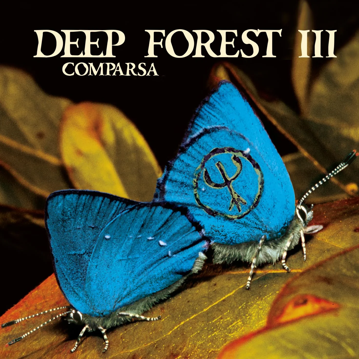 Comparsa Coloured