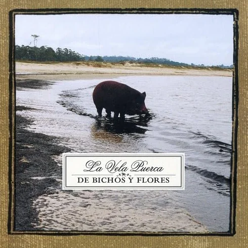 De Bichos Y Flores