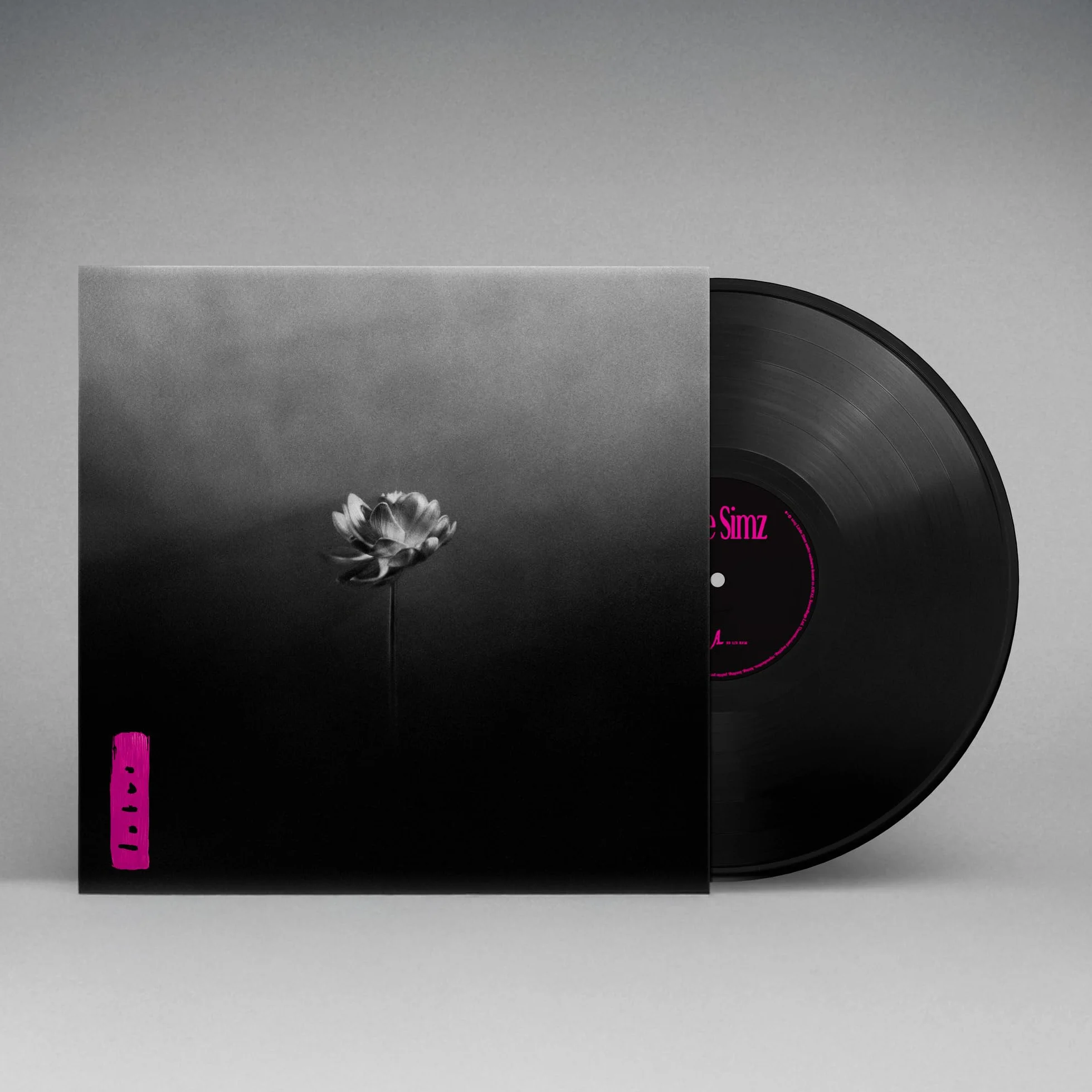 Little Simz - Lotusexplicit_lyrics