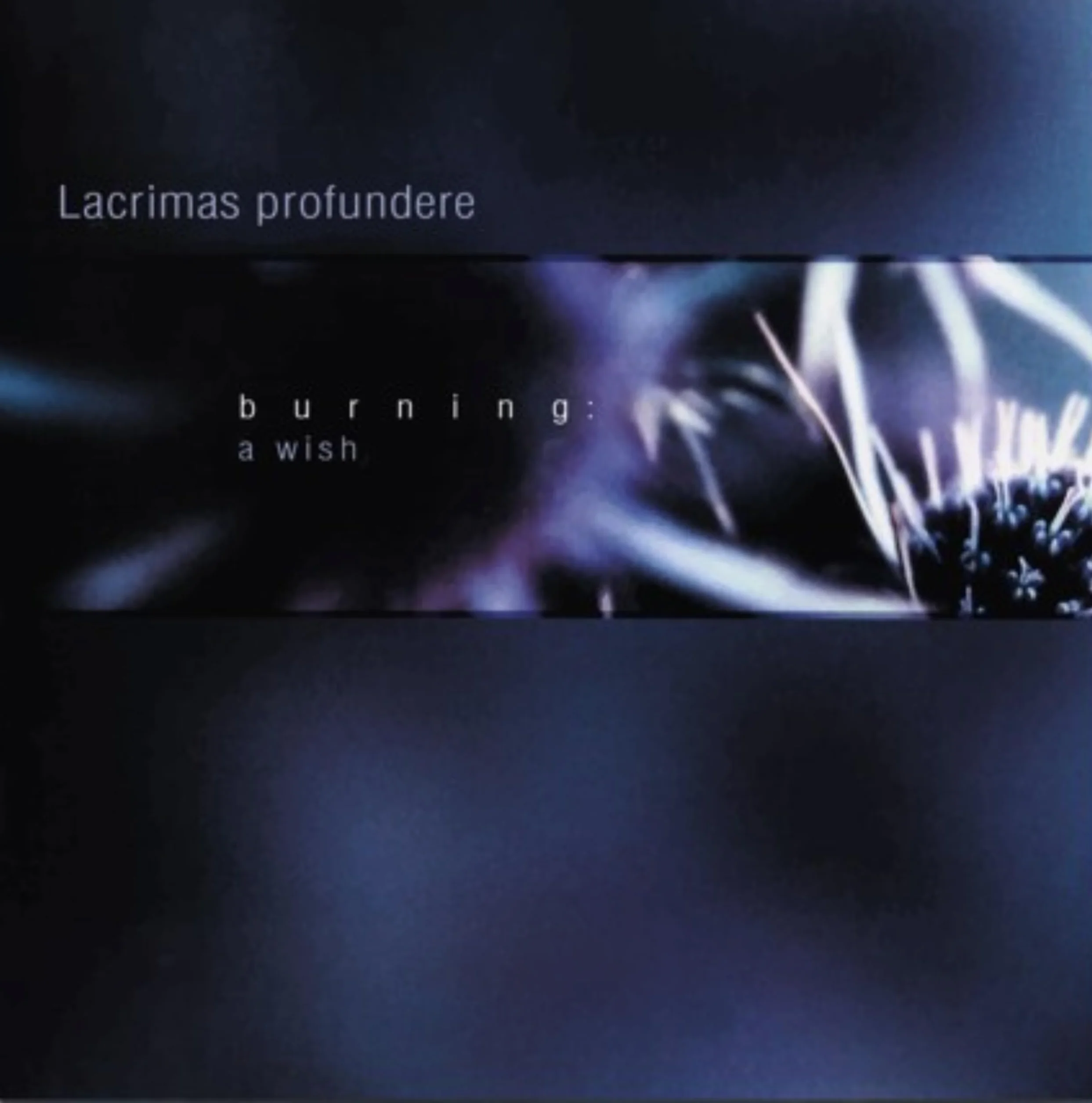 Burning: A Wish