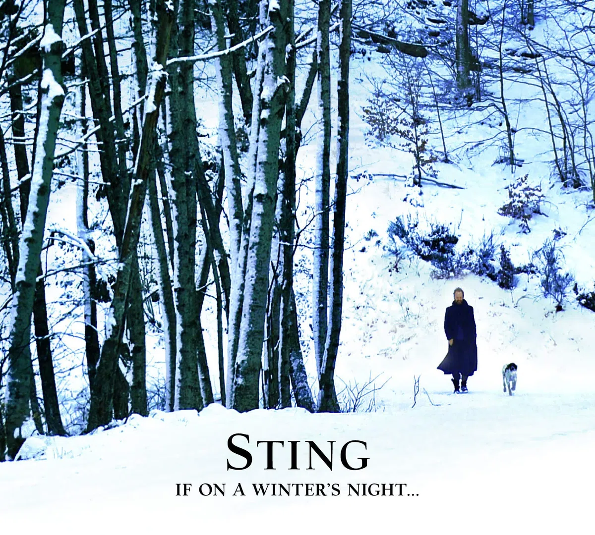If On A Winter's Night